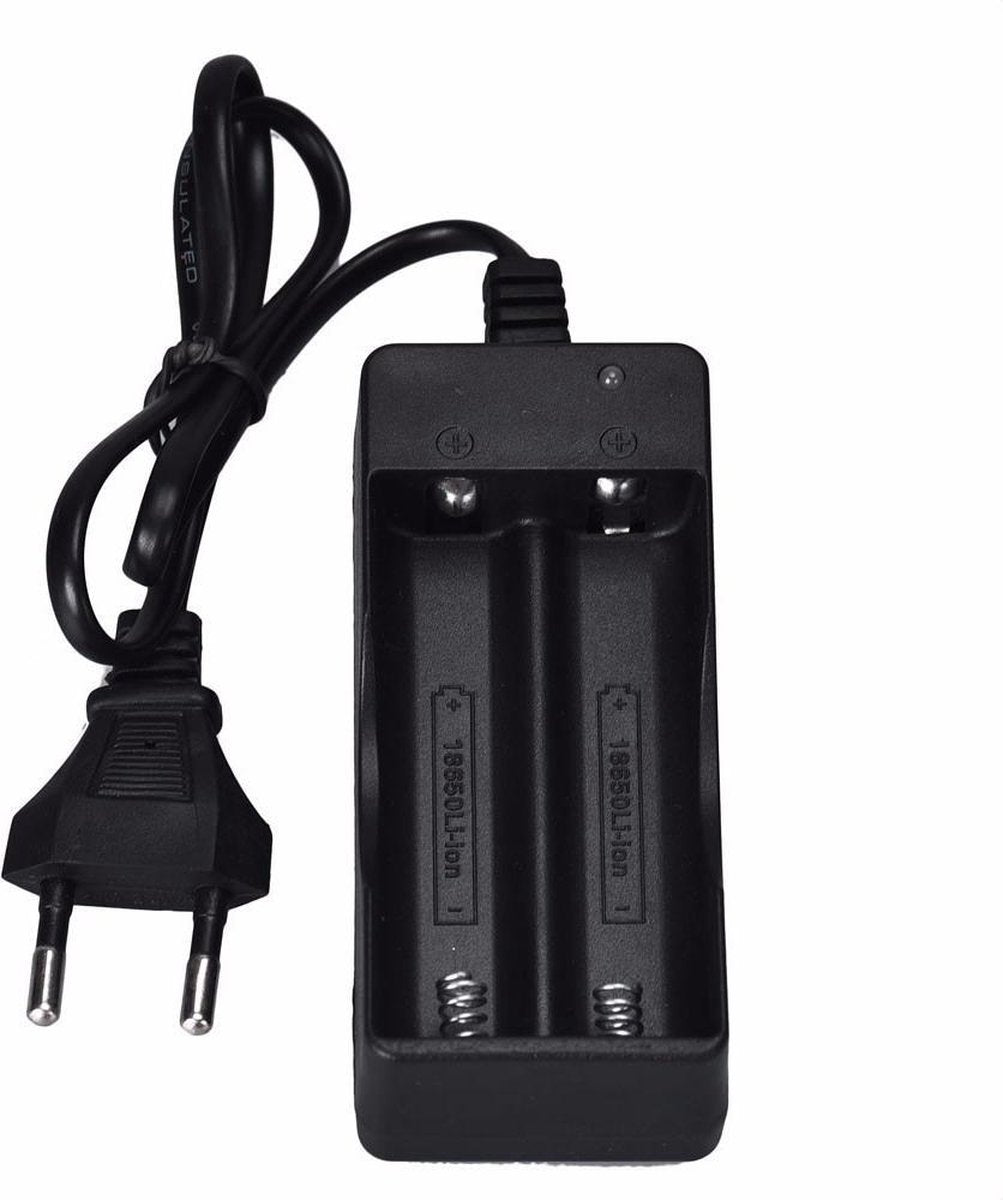 Dual 18650 Batterij oplader lader 220 Volt