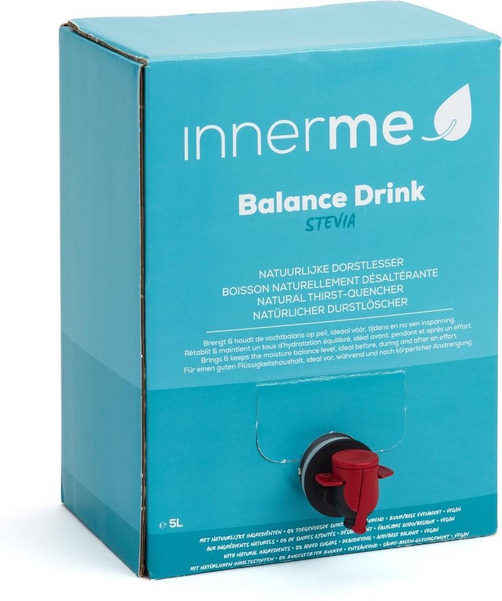 Balance Drink Stevia 5L - natuurlijke dorstlesser - thee met verse gember & citroen - 0 caloriëen