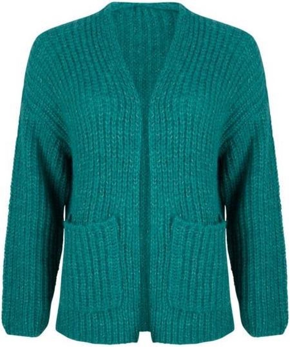 Esqualo vest F20.07524 Teal Blue