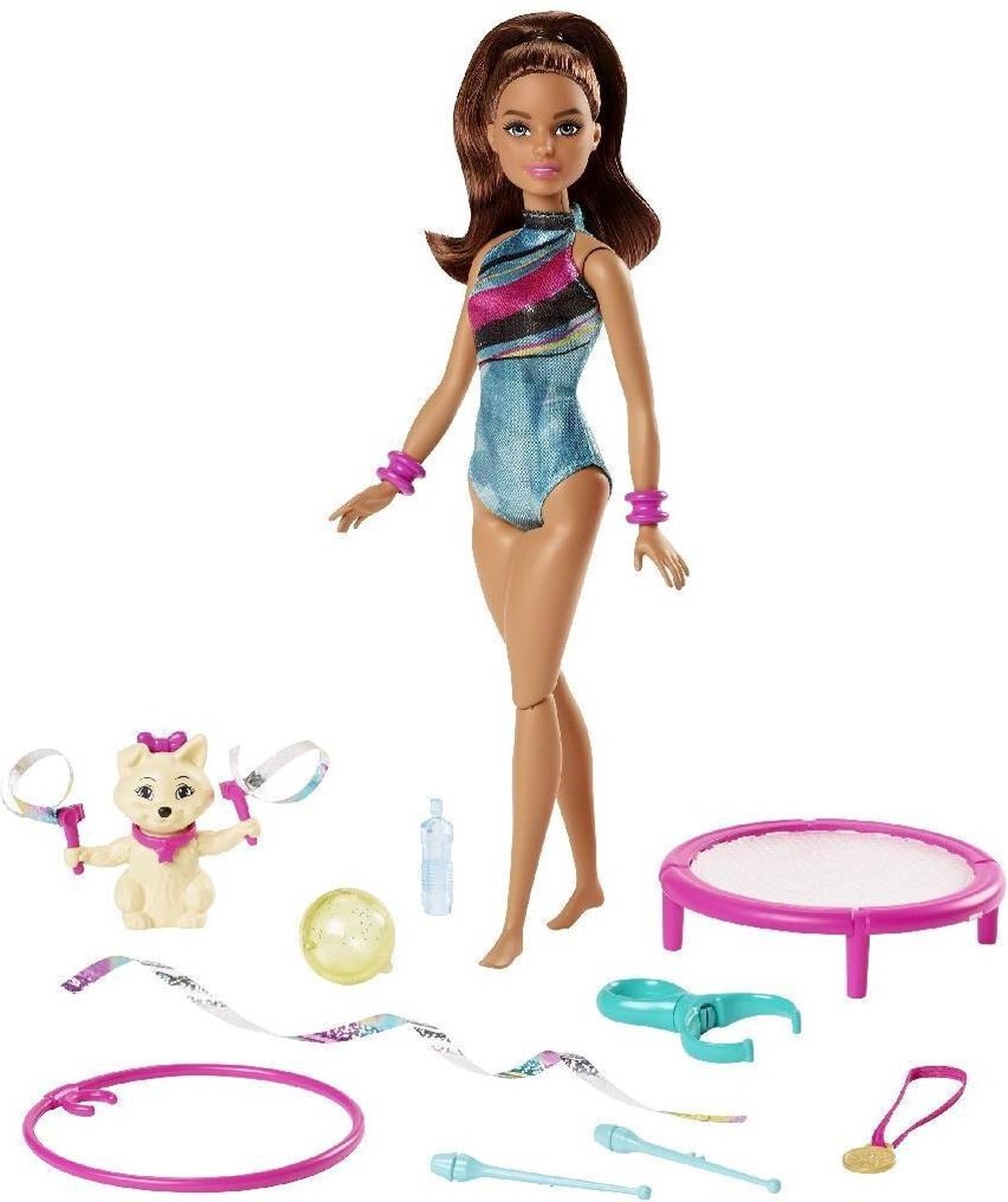 Barbie Dreamhouse Adventures Teresa pop + Puppy en Accessoires