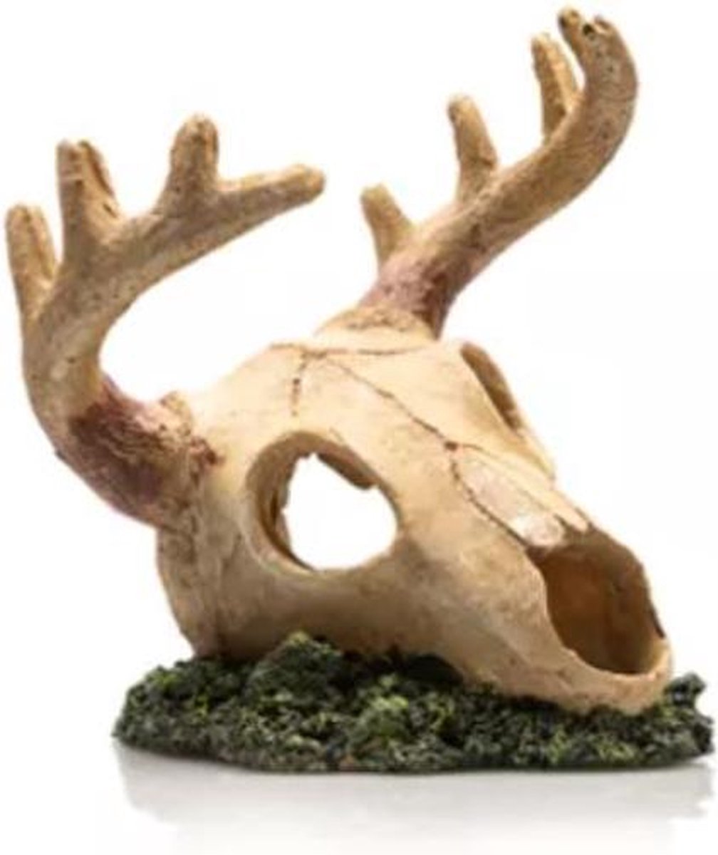 Schedel hert - aquarium decoratie ornament