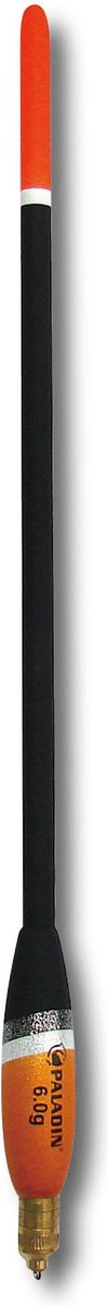 Waggler m. Wechselgewicht 6 g