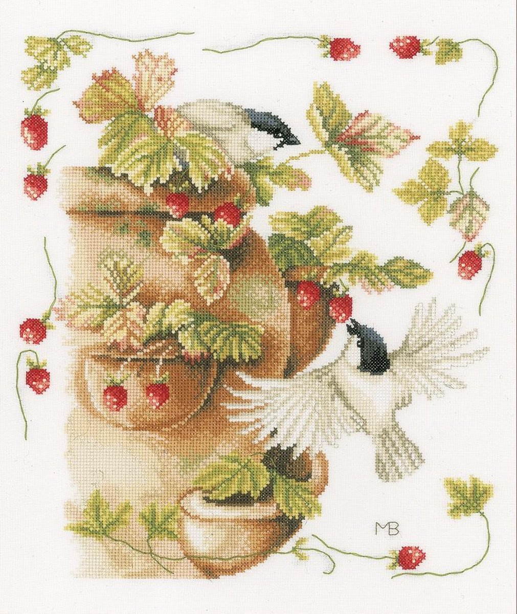 Marjolein Bastin Aardbeien en vogels borduren (pakket)