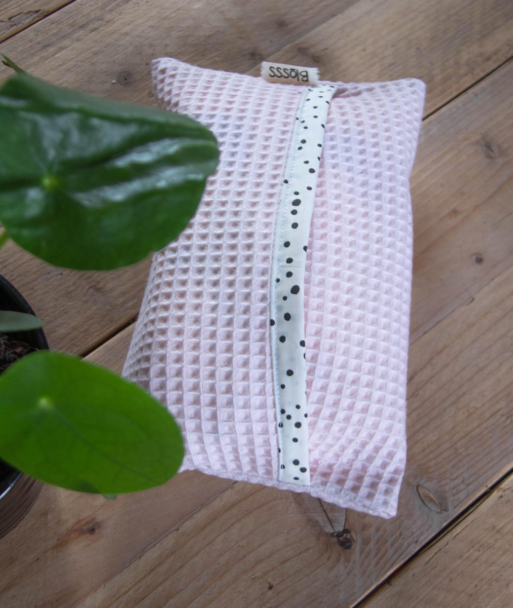 BILLENDOEKJESHOES - Roze/stippen
