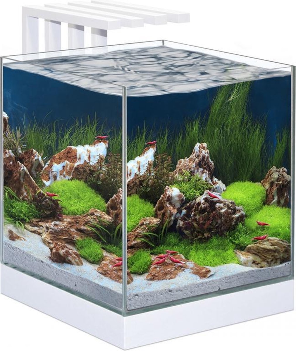 Ciano Aquarium nexus pure 25 led 29x33
