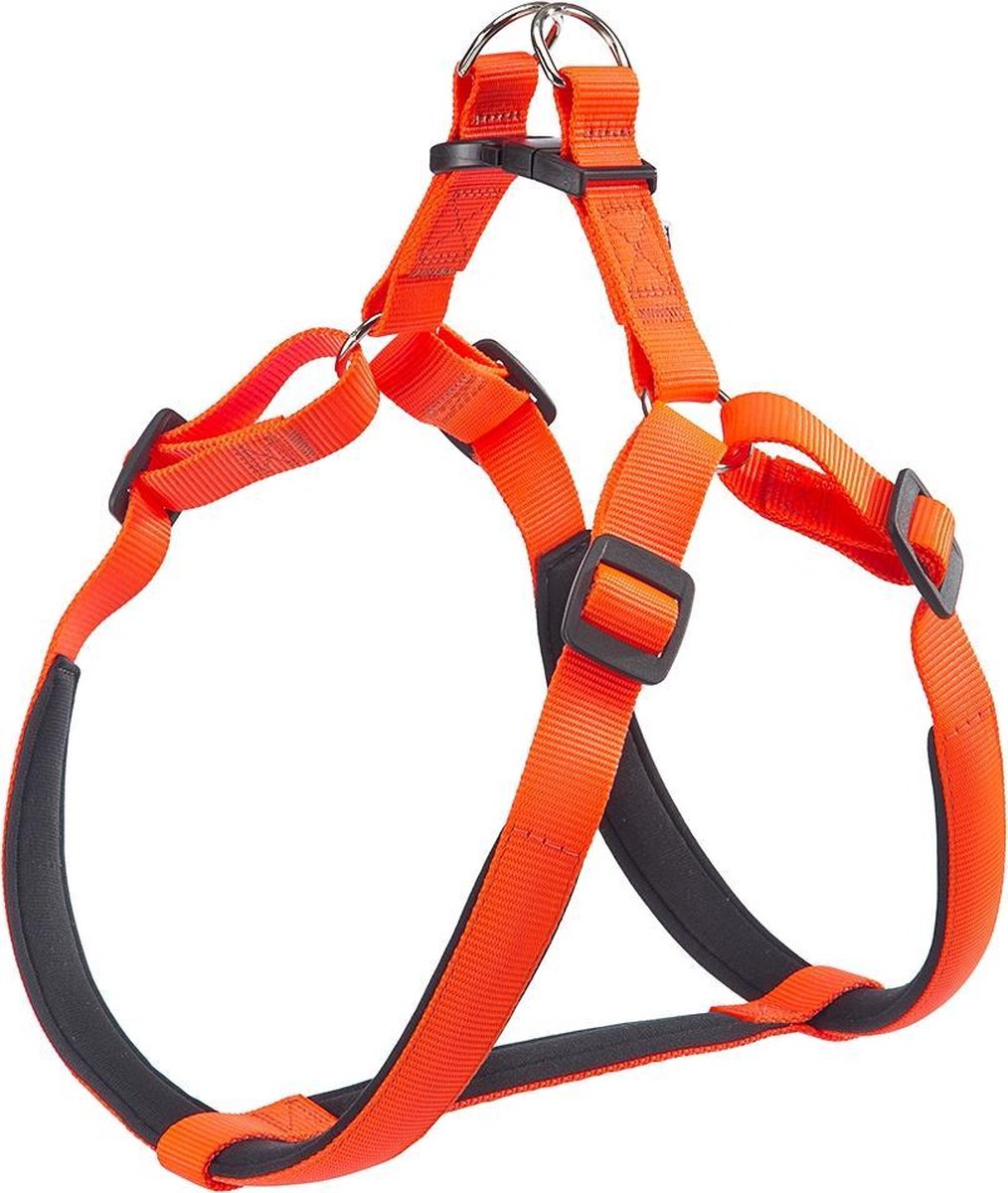 Daytona p xl harnais orange