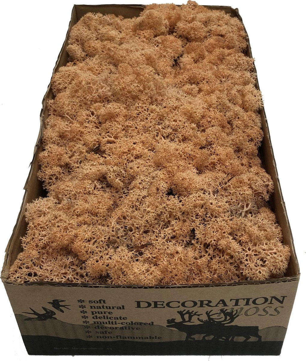 MosBiz Rendiermos peach per 500 gram voor decoraties