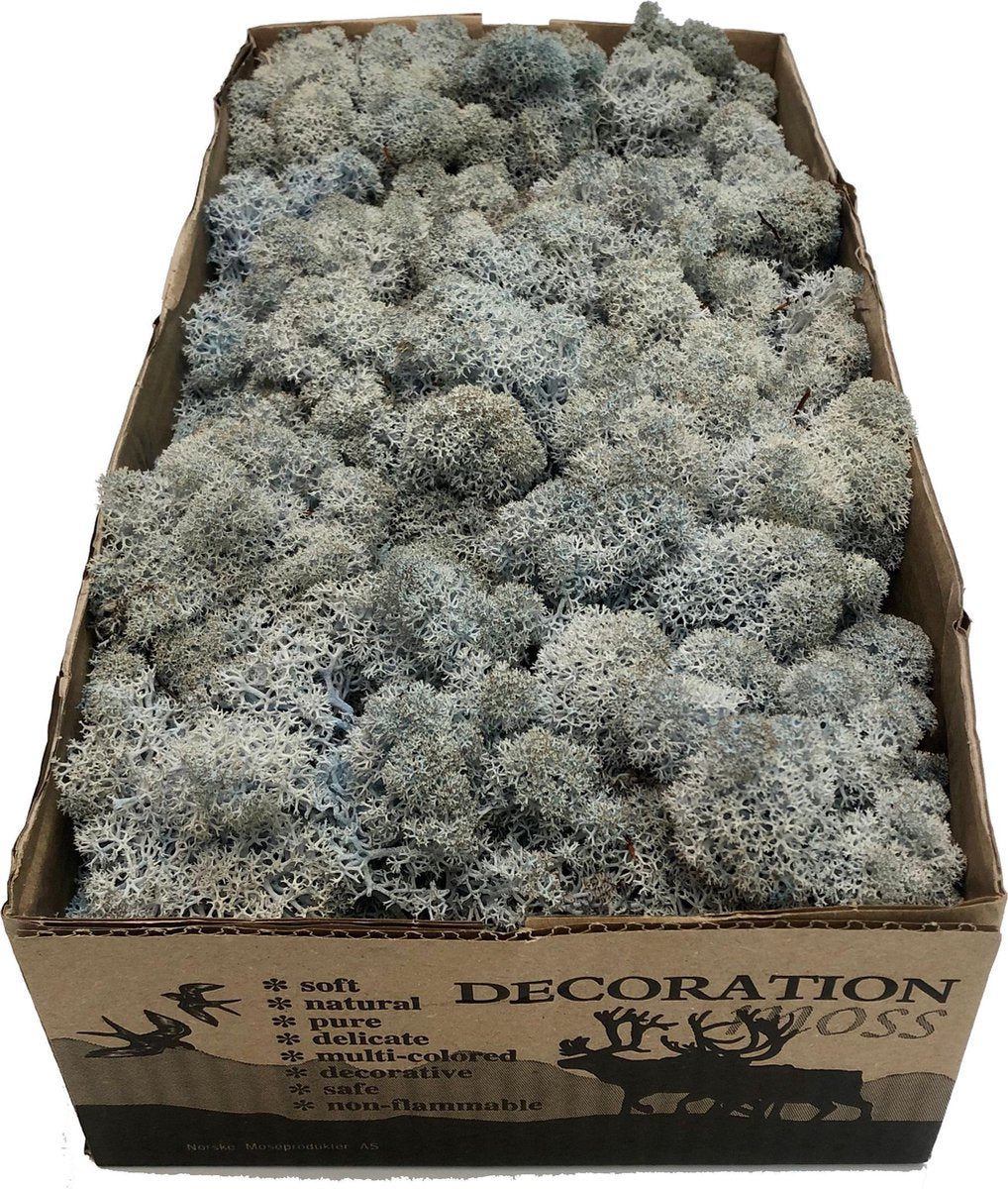 MosBiz Rendiermos ice blue per 500 gram voor decoraties