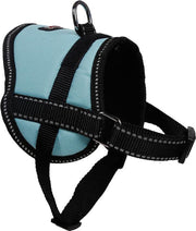 Comfortabel harnas voor kleinere hondjes of katten - LARGE - BLAUW