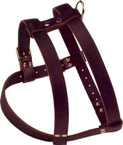 Boon Borsttuig Donkerbruin 3X Verstelbaar 25 MMX80 CM