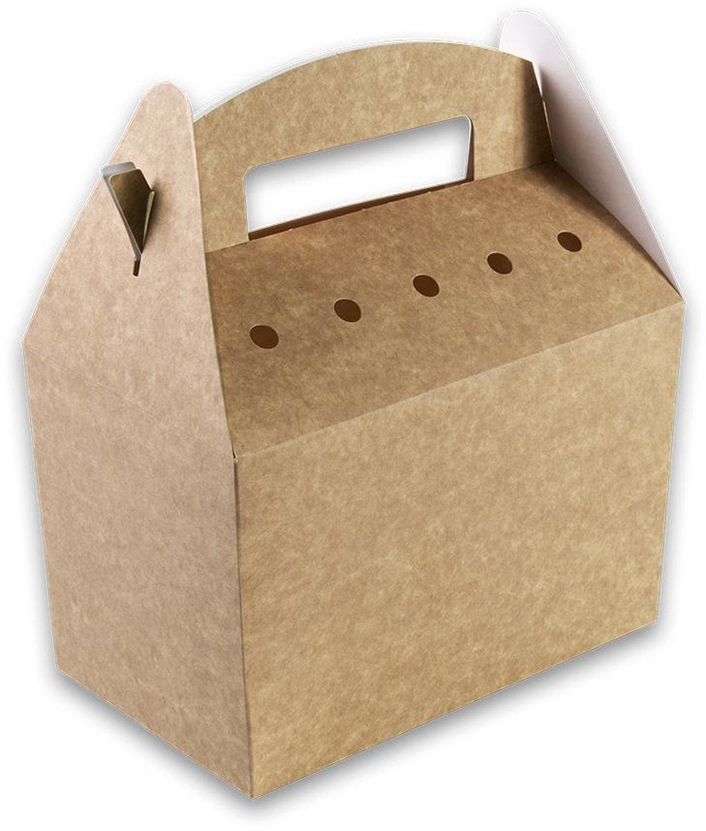Fonkels Snackbox - Incl.  Handvat - Karton