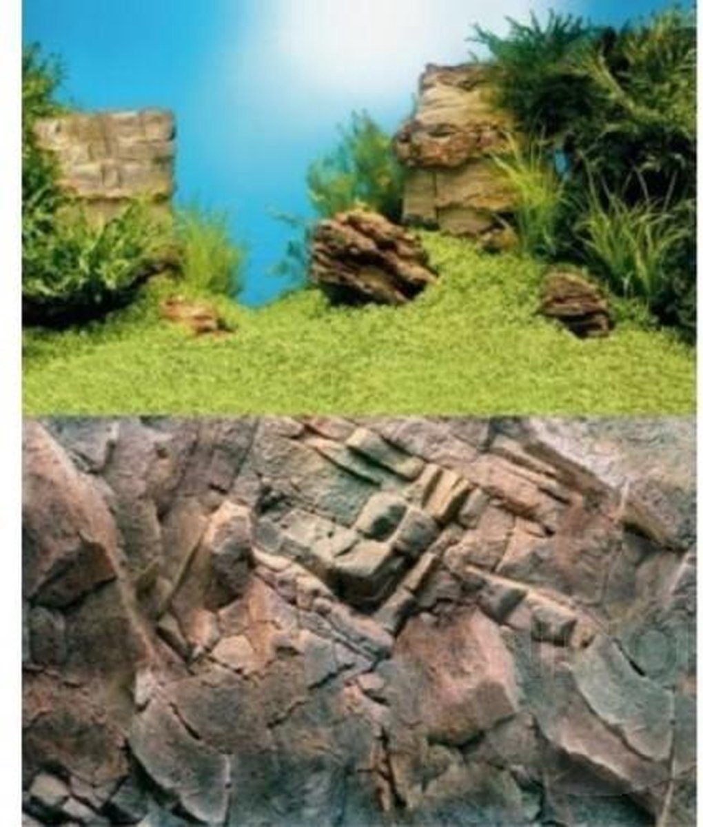Juwel - poster 1L - 100x50CM - voor aquaria