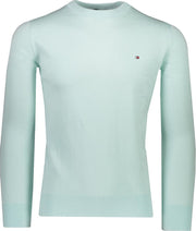 Tommy Hilfiger Trui Groen Getailleerd - Maat M - Heren - Lente/Zomer Collectie - Katoen;Zijde