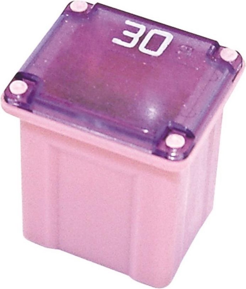 ZEKERING TYPE JAP-JLP 30A (1 ST)