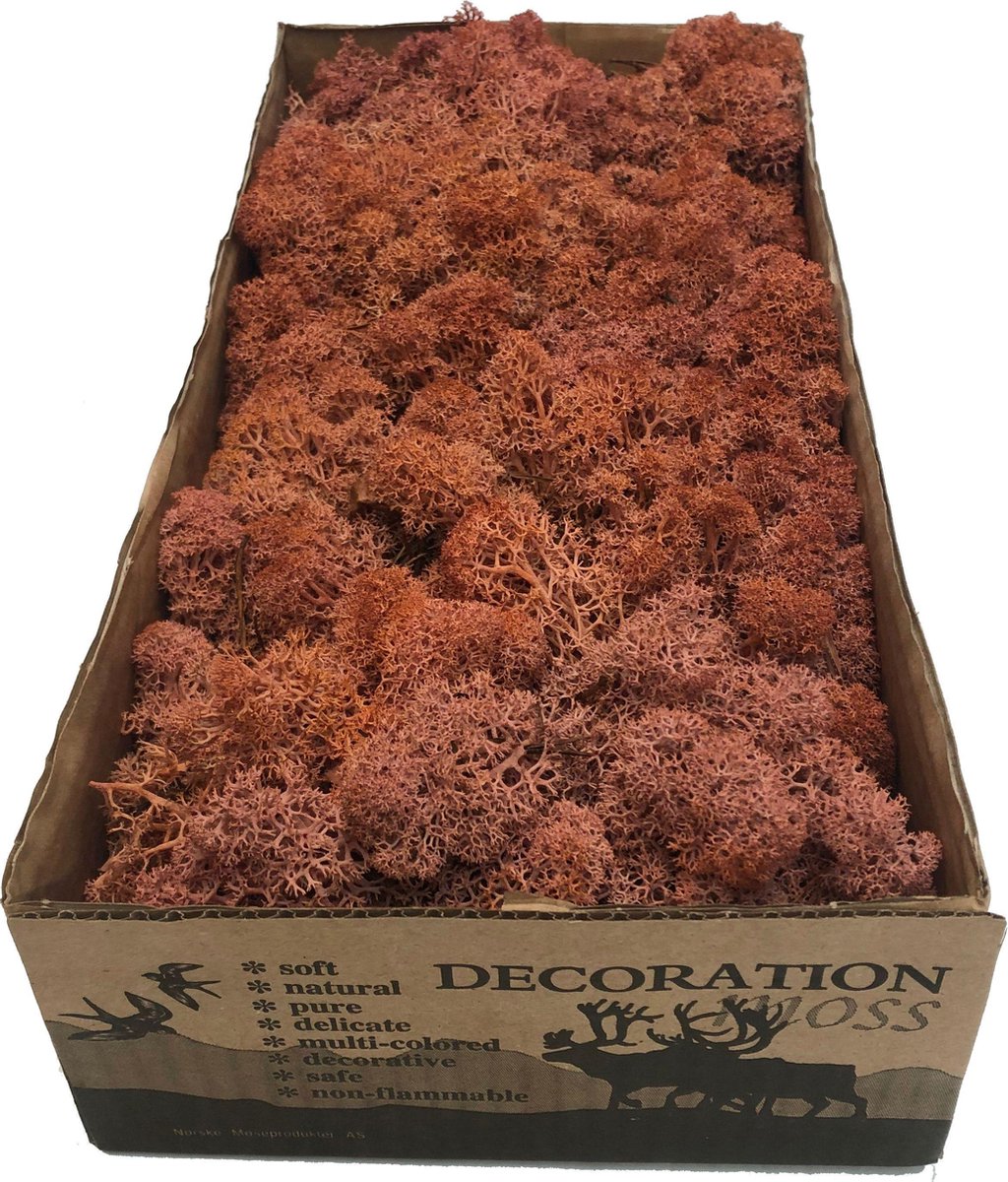 MosBiz Rendiermos mango per 500 gram voor decoraties