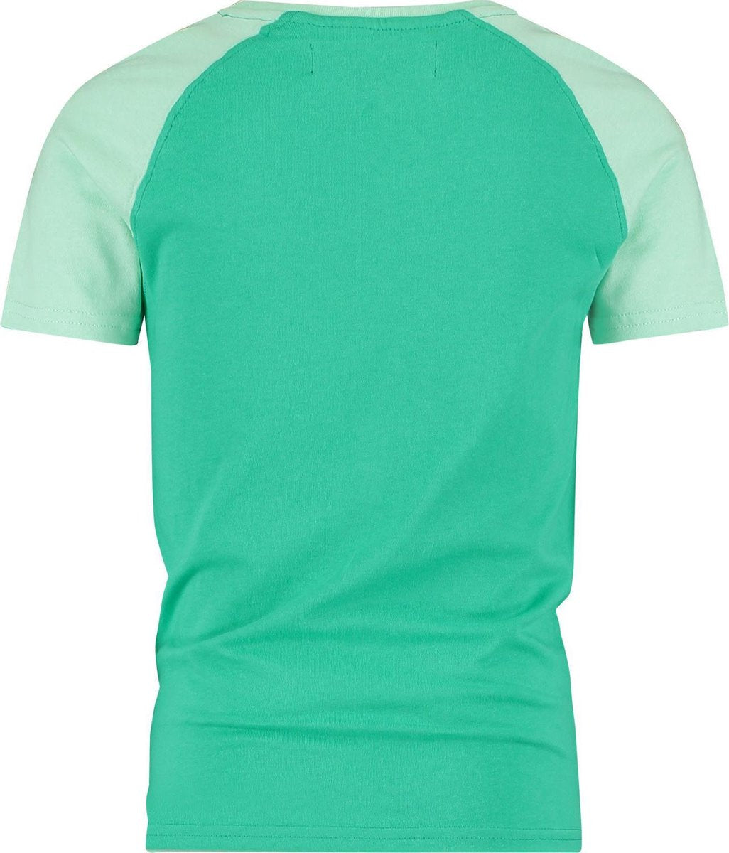 Raizzed jongens t-shirt Hoctun Pastel Wood