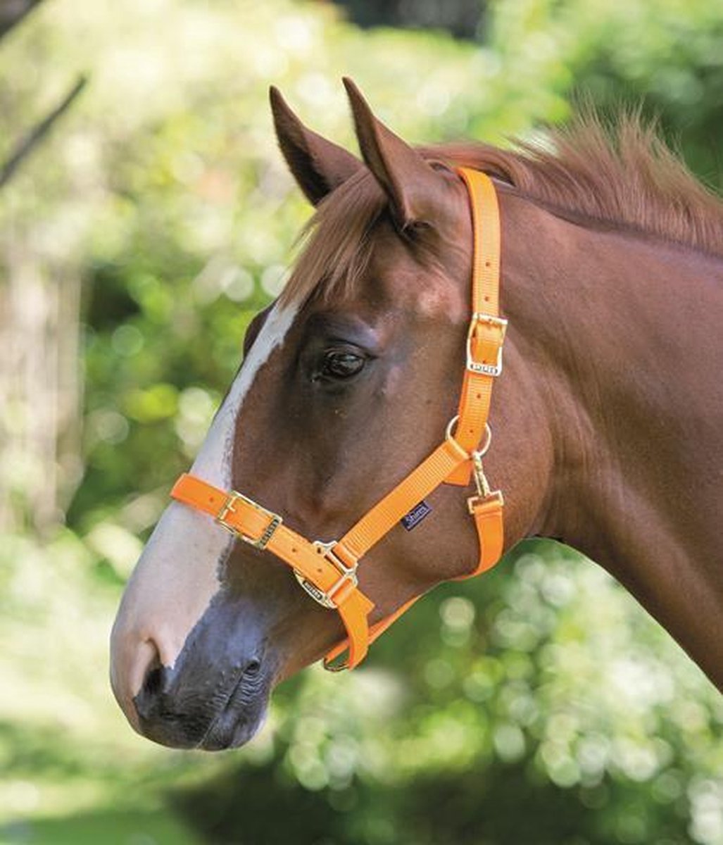 Halster Shires Pro verstelbaar (410)