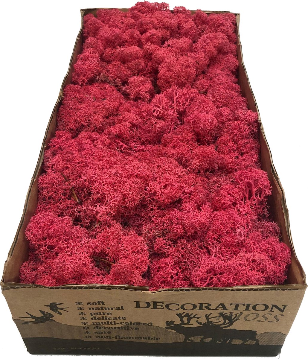 MosBiz Rendiermos Fuschia per 500 gram voor decoraties
