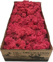 MosBiz Rendiermos Fuschia per 500 gram voor decoraties