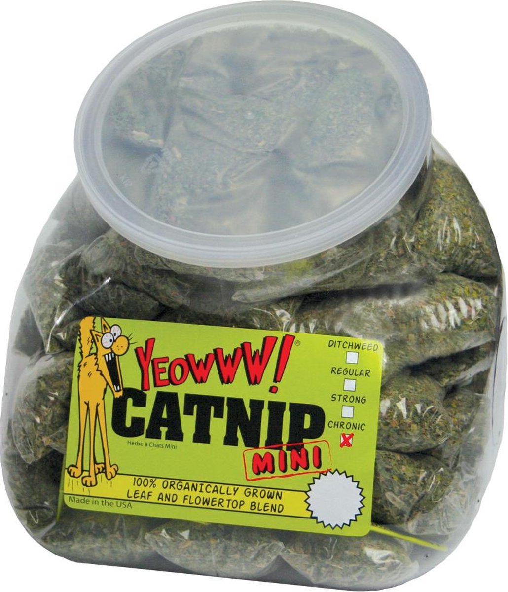 Yeowww Zakje Catnip Mini - 4 GR X 50 ST (50 stuks)