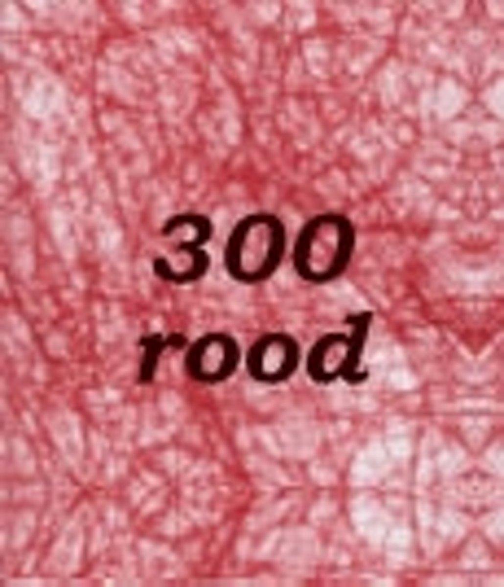 Sizoflor Angelwire 30 X 60 cm ROOD. PAK 100 STUKS
