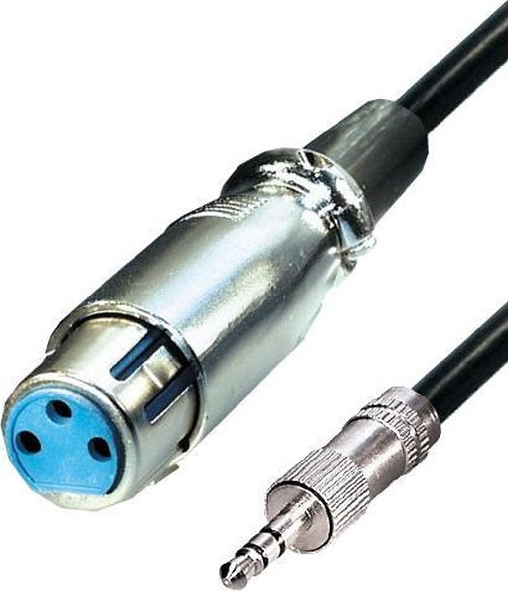 Transmedia XLR (v) - 3