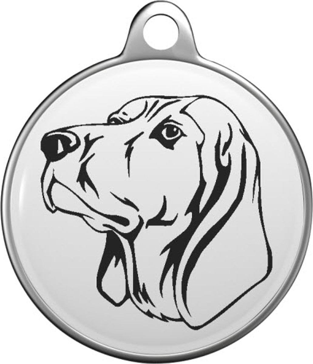 Coonhound Black and Tan Tommy Tag C033