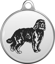Barbet  Tommy Tag B002