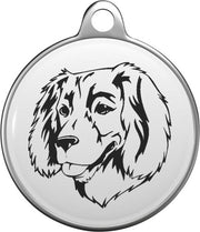Boykin Spaniel Tommy Tag B046