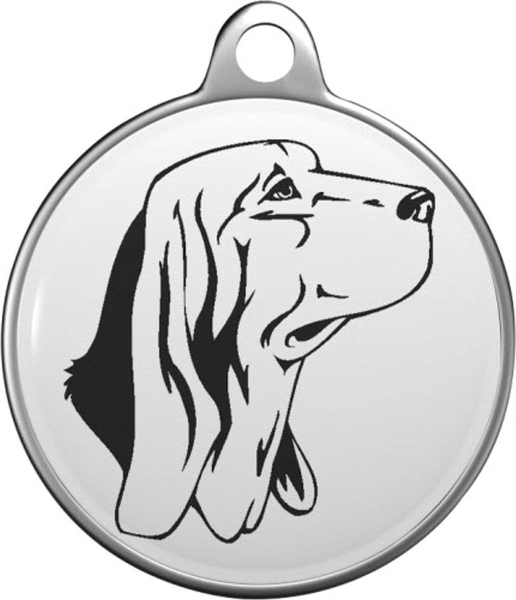 Bruno Jura Hound Tommy Tag B058