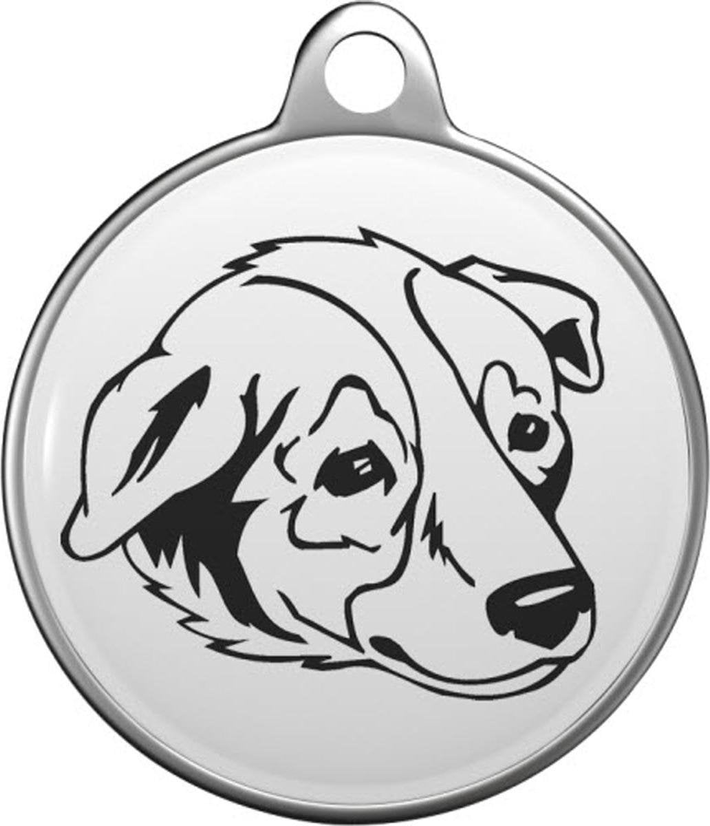 Welsh Sheepdog Tommy Tag W004