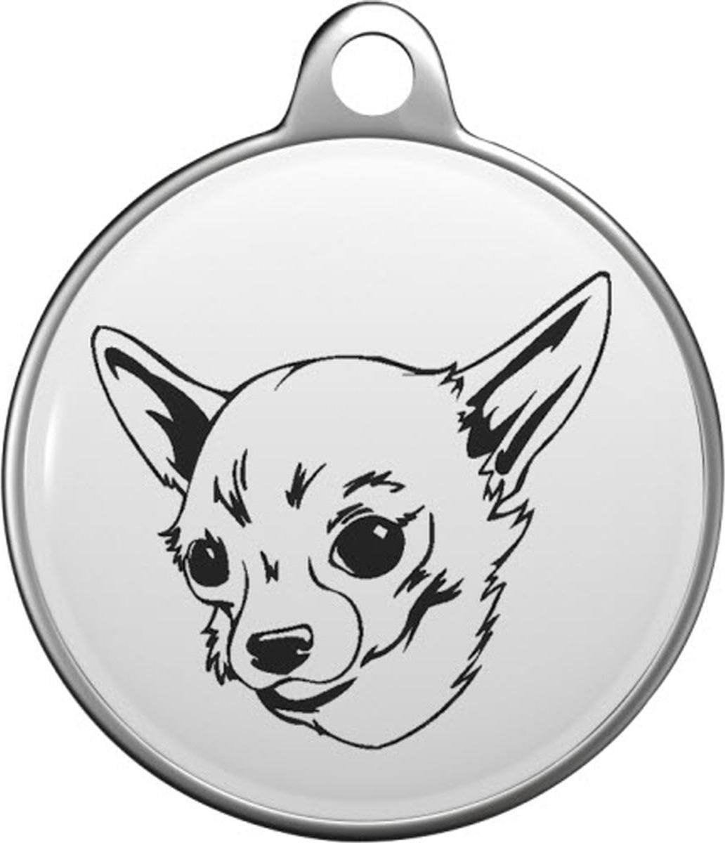 Chein Chihuahua Tommy Tag C017