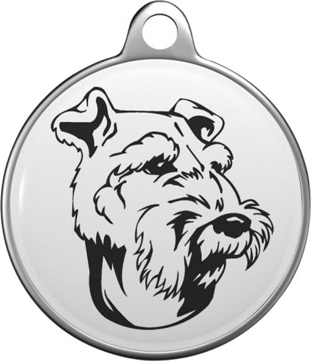 Welsh Terrier Tommy Tag W006