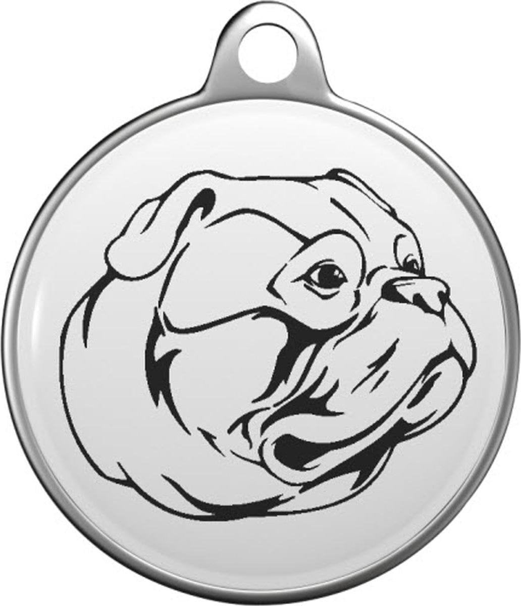 Amerikaanse Buldog Tommy Tag A012