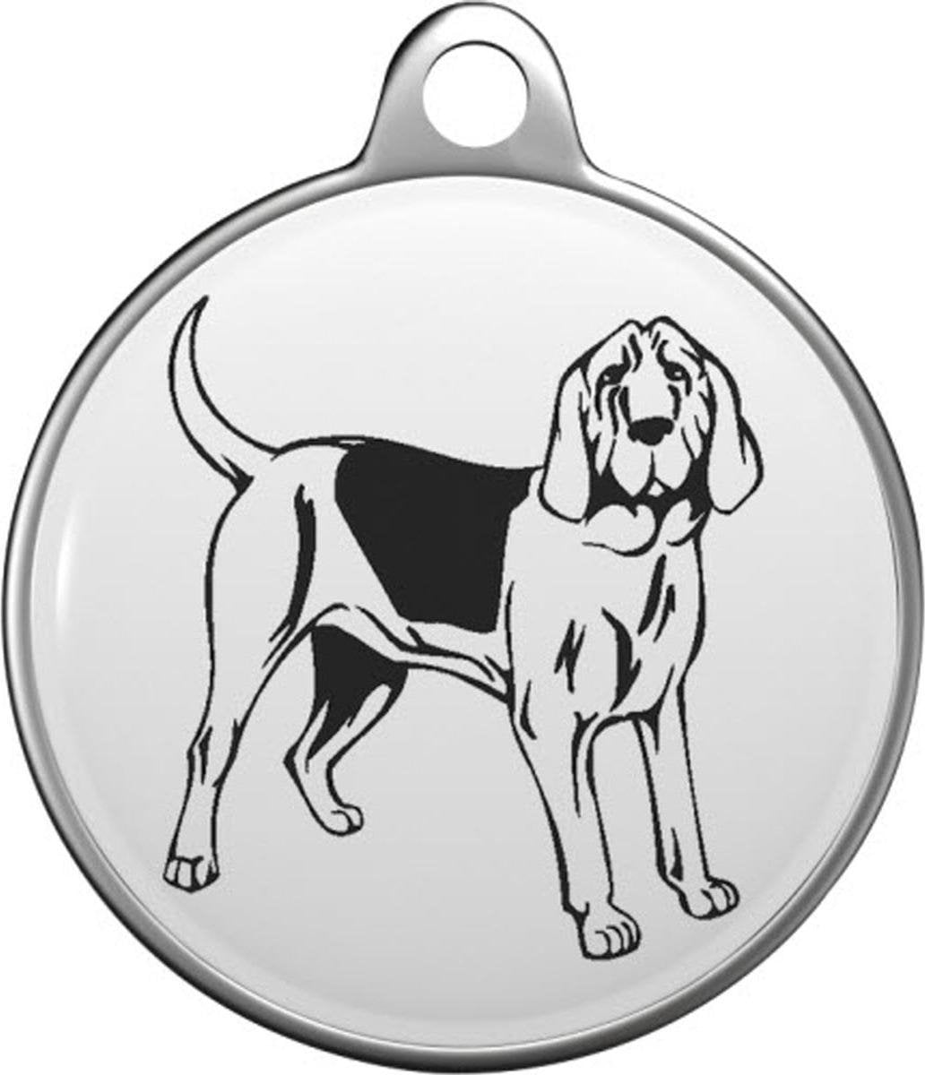 Bloedhond Tommy Tag B032