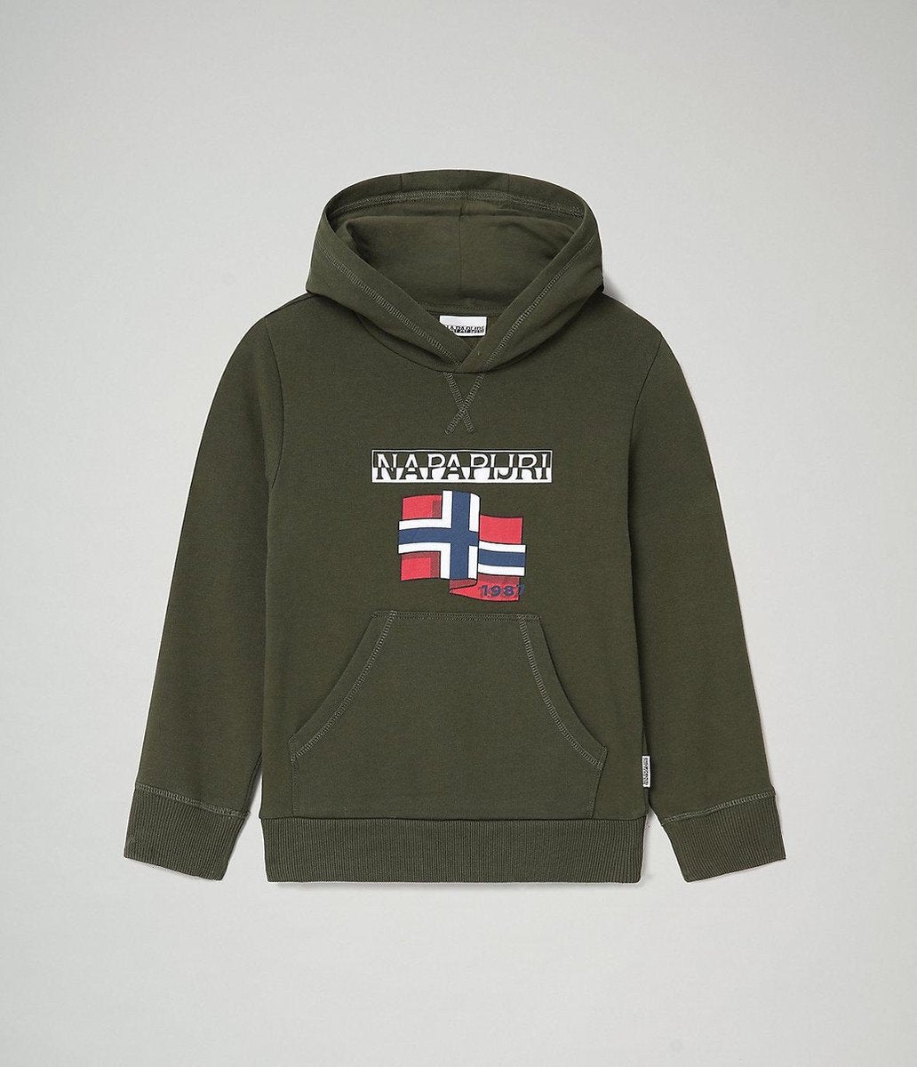 Napapijri Kids Birex Hoodie