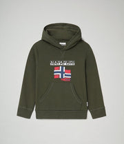 Napapijri Kids Birex Hoodie