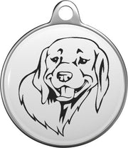 Braque du Bourbonnais Tommy Tag B049