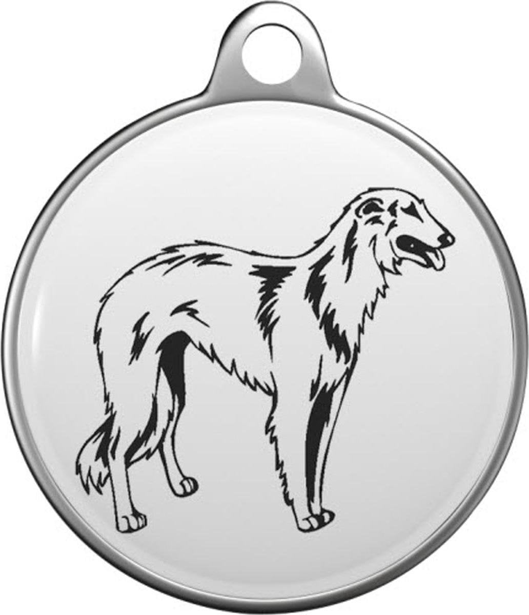 Borzoi Tommy Tag B040