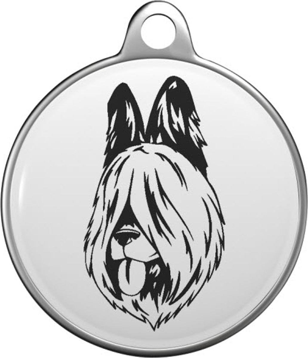 Briard Tommy Tag B054