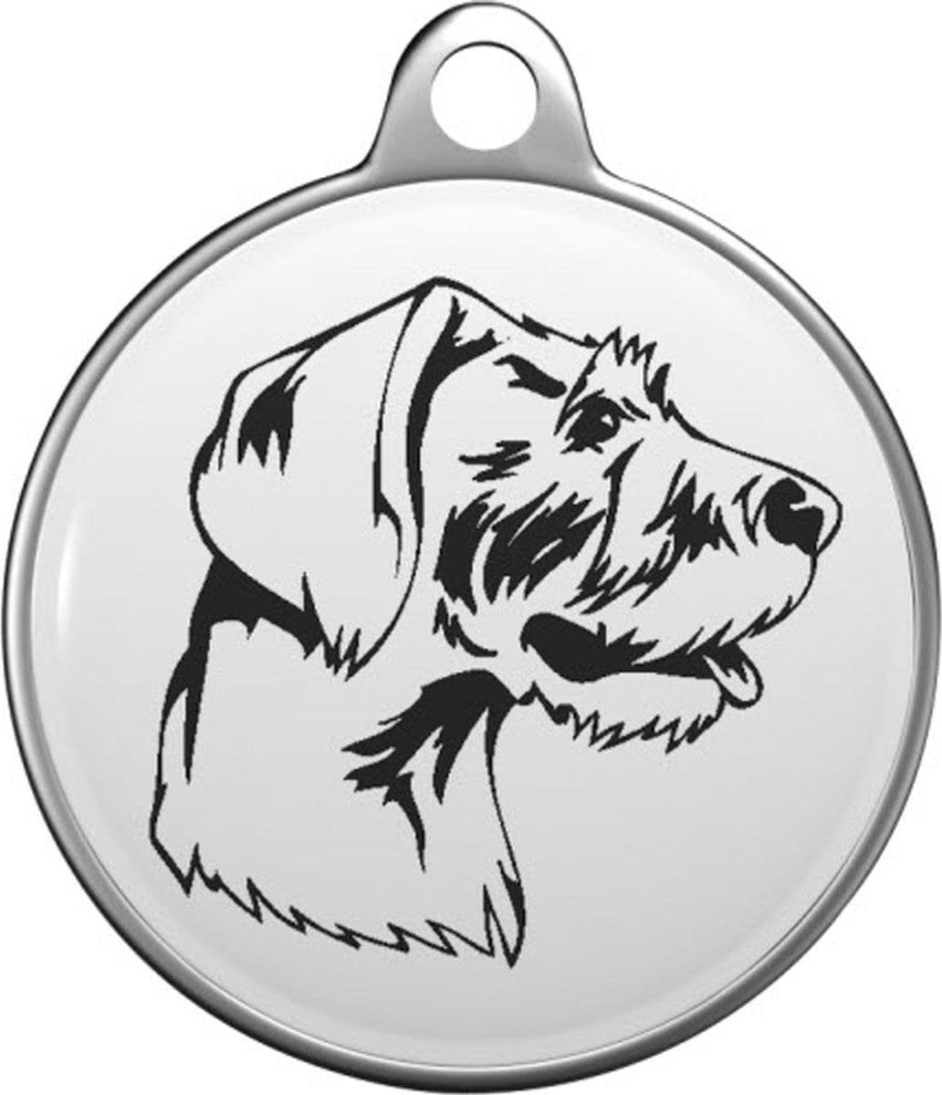 Duitse Ruwharige Pointer Tommy Tag G006