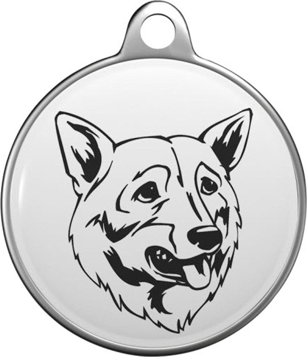 Västgötaspets Tommy Tag S052