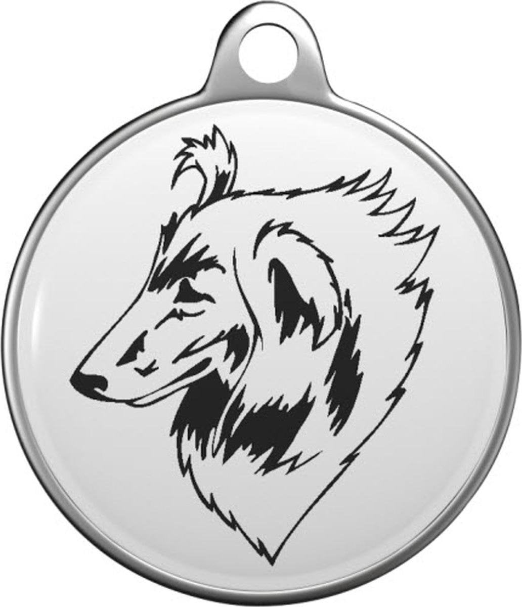 Collie Rough Tommy Tag C031