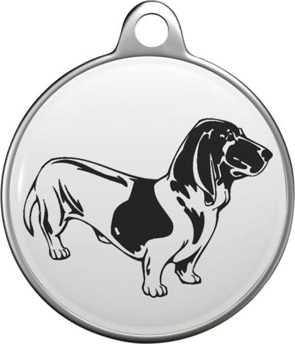 Basset bleu de GascoTommy Tag B006