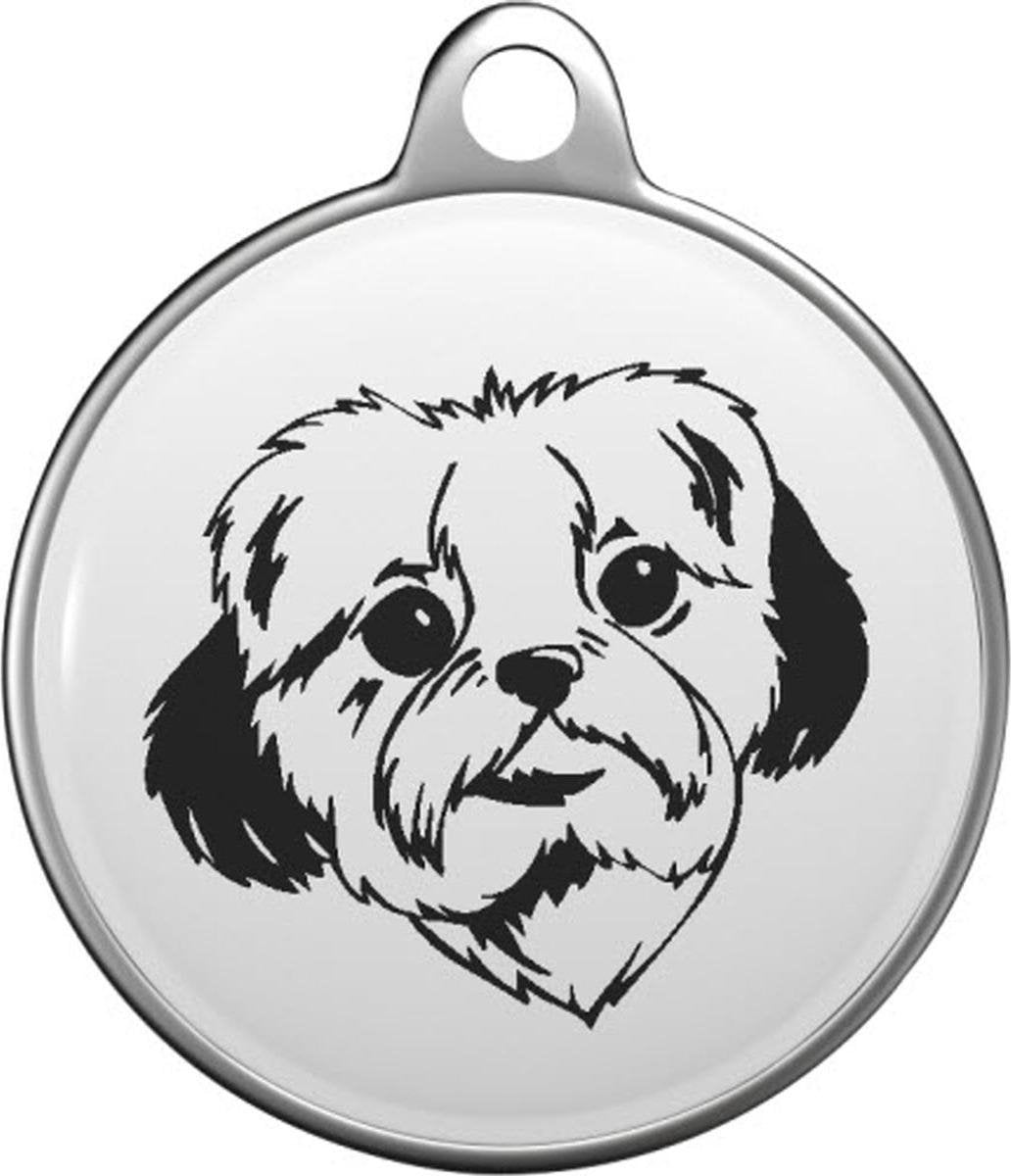 Chinese Imperial Dog Tommy Tag C023