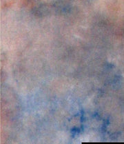 Linkstar Achtergronddoek S-122 2