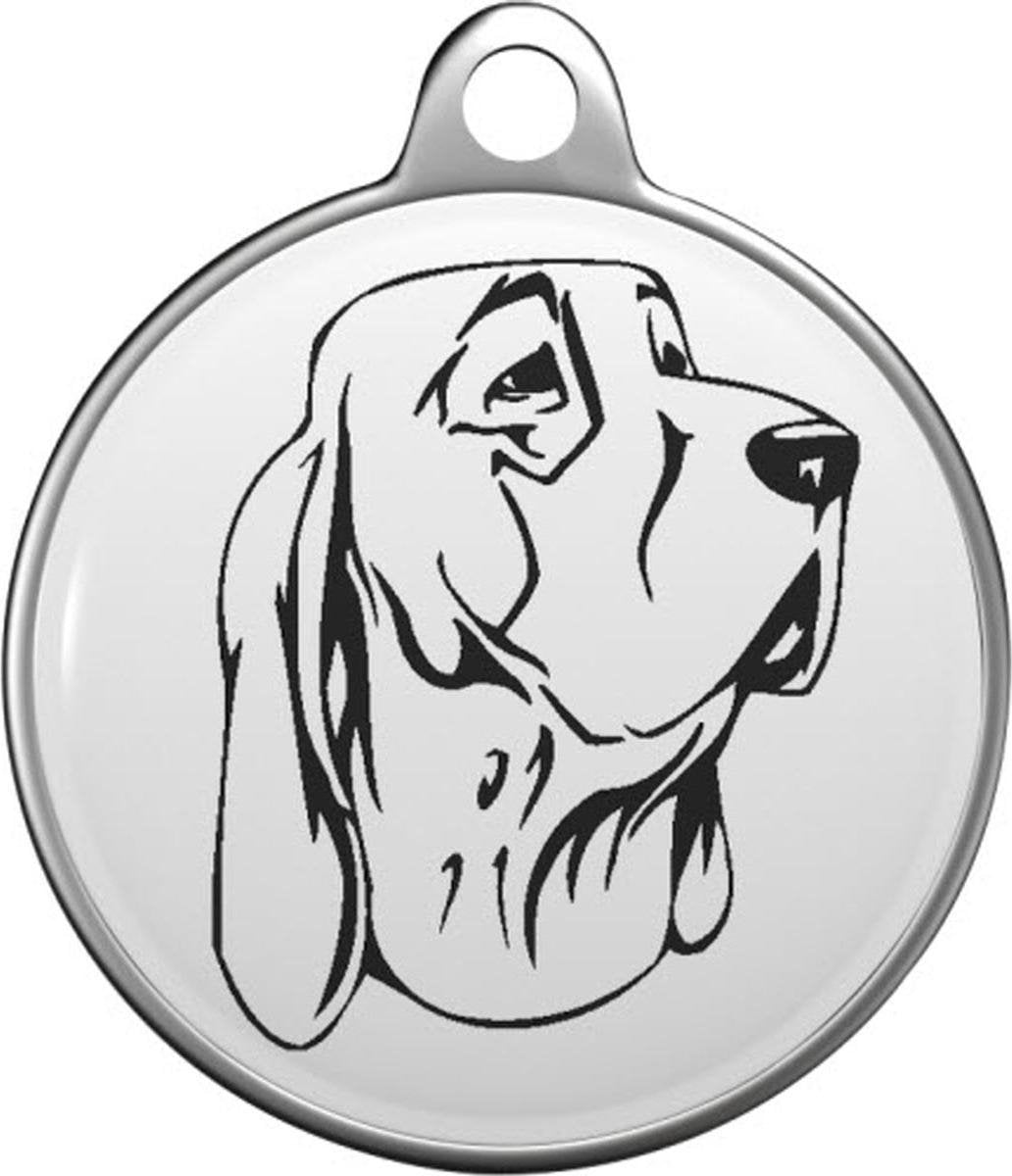 Bracco italiano Tommy Tag B047