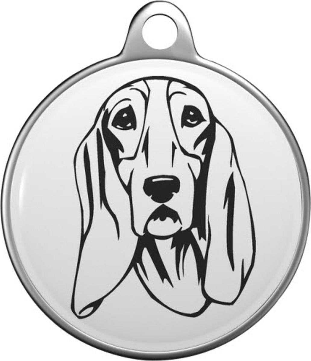 Schweizer Laufhund Tommy Tag S012