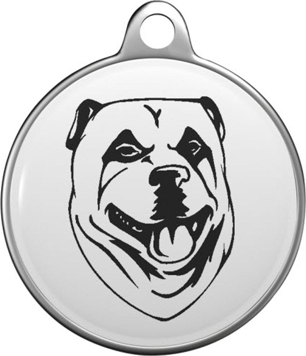 Anatolische herder Tommy Tag K002