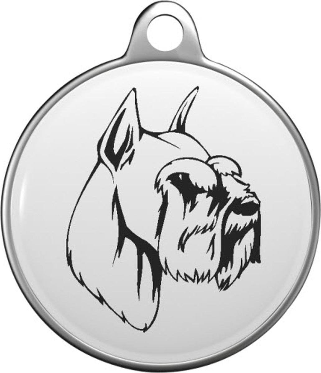 Schnauzer Mini Tommy Tag M011